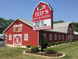 Ted's Lansing