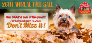 fallsale