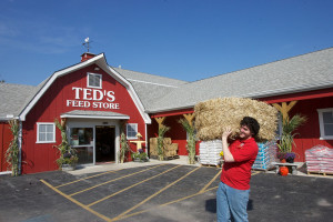 Ted's Feed Store